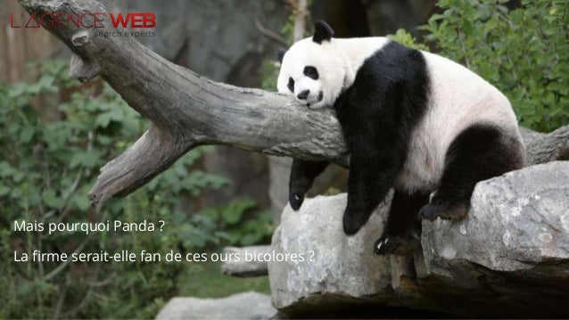 Elle Panda